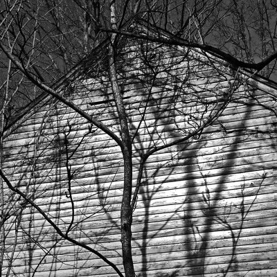 TREE SHADOWS ON OLD HOUSE FLOURVILLE 2025